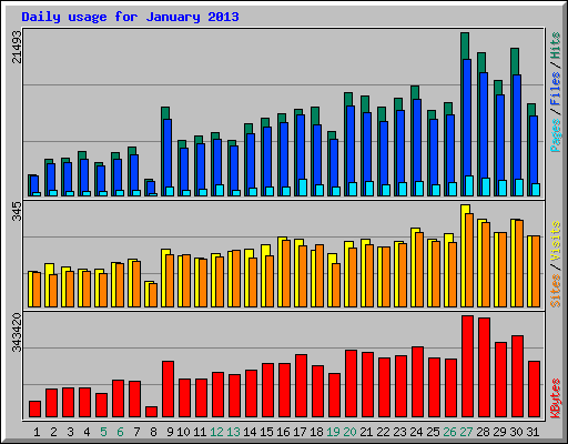 Daily usage for January 2013